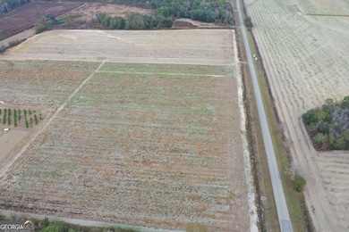 0 Jowers Rd, Whigham, GA 39897 - photo 4