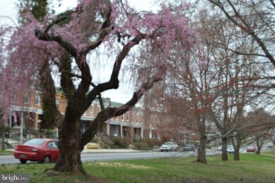 2805 Chesterfield Ave, Baltimore, MD 21213 - photo 3