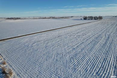 29260 CR 1500n, Teheran, IL 62664 - photo 2