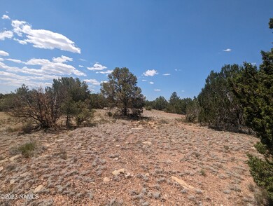 PXL_20230702_181521562