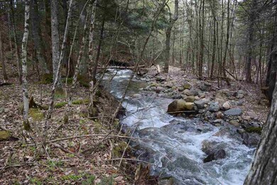 0 Cabot Trail unit Lot 2 4634402, Lancaster, NH 03584 - photo 7