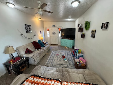 860 N 200 E, Nephi, UT 84648 - photo 7