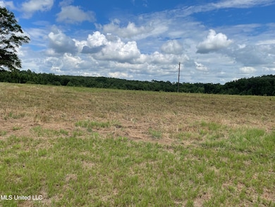 Hwy 28 Magee
