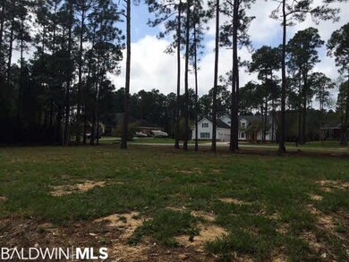 Lot has been partially cleared leaving some trees