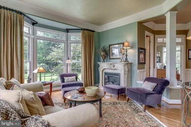 16799 Chestnut Overlook Dr, Purcellville, VA 20132 - photo 7