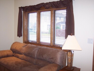 Pella designer windows Slim shade blinds