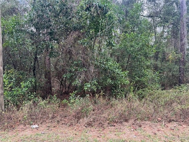 6617 and 6633 E Hampton Ln, Inverness Highlands South, FL 34452 - photo 2