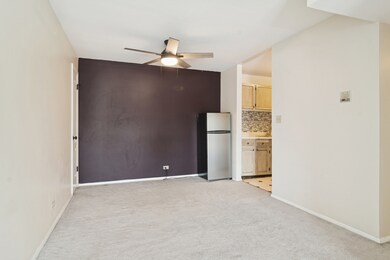 24A Kingery Quarter unit 202, Willowbrook, IL 60527 - photo 6