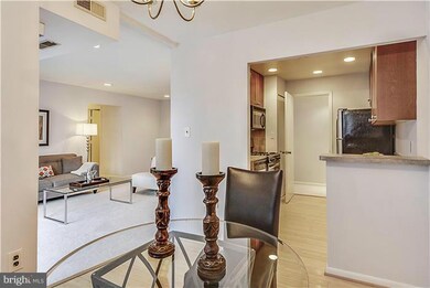 1952 Kennedy Dr unit 101, McLean, VA 22102 - photo 6