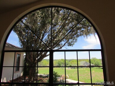 Looking out dining window