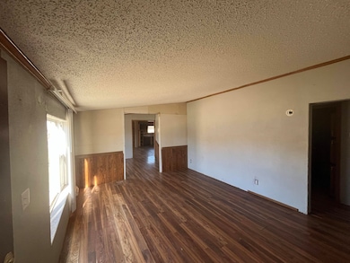 199 Pine St, Tilden, NE 68781 - photo 4