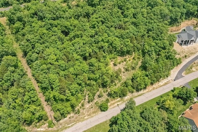 4495 Kingfisher Ct, Augusta, MO 63332 - photo 6