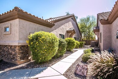 Desert Willow St-4