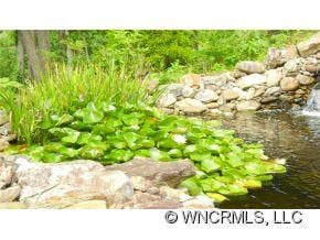 921 Old Leicester Hwy, Asheville, NC 28806 - photo 6