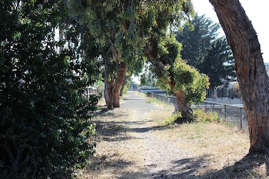 Nearby Walking Path