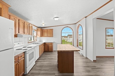 3502 Midsummer Ln, Northville, MI 48167 - photo 2