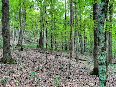 47/7 Do Rd unit Lot WP001, Harrisville, WV 26362 - photo 6