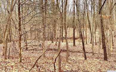 573 Willow Brook Rd, Clinton Corners, NY 12514 - photo 3