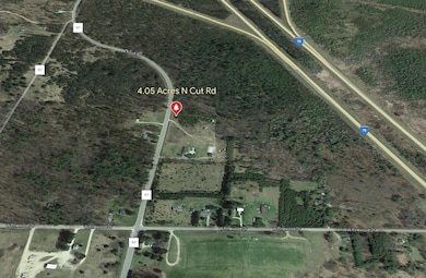 Google Earth