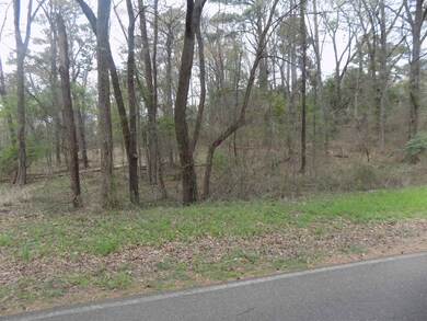 0 Shilling Rd, Texarkana, TX 75503 - photo 2