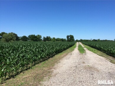 0 Illinois Route 78, Jacksonville, IL 62650 - photo 6