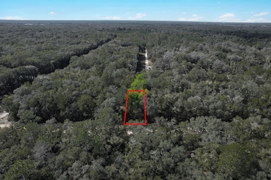 0 Brett Ave unit 25619302, Interlachen, FL 32148 - photo 2