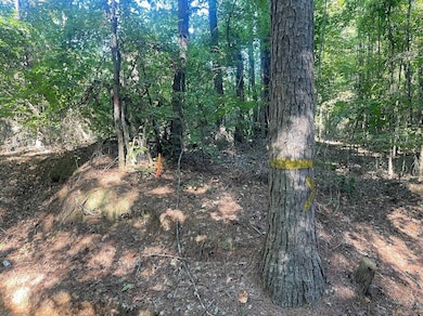 00 N County Line Rd, Maben, MS 39750 - photo 2