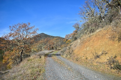 1379 Humbug Creek Rd, Jacksonville, OR 97530 - photo 7