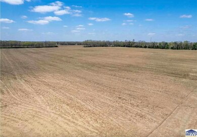 0 S Trueblood Place, Terre Haute, IN 47802 - photo 4