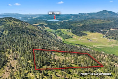 2XXX Wrights Valley Rd, Chewelah, WA 99109 - photo 3