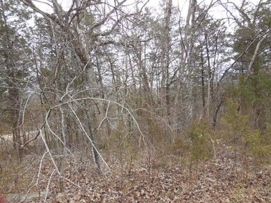 Branson Area Lot for sale
