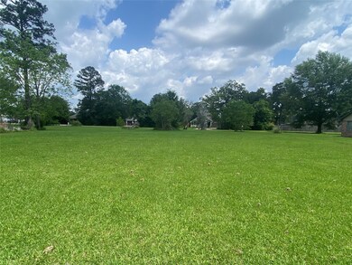 0000 Shady Oak Dr, Hockley, TX 77447 - photo 3