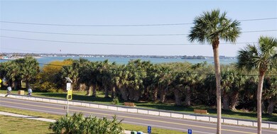 Royal Stewart Arms unit 308, Dunedin, FL 34698 - photo 3