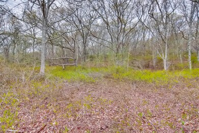 20 Luce Farm Rd, West Tisbury, MA 02575 - photo 5