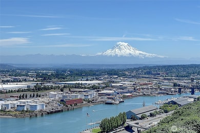 The mountain is out!