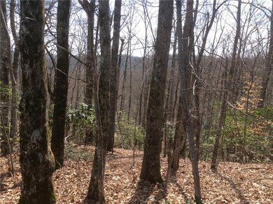 Spacious 1.52 acre double lot with winter mountain