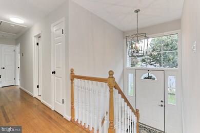 908 Shady Dr SE, Vienna, VA 22180 - photo 7