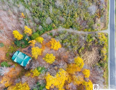 4174 Osborne Rd, Fredonia, NY 14063 - photo 6