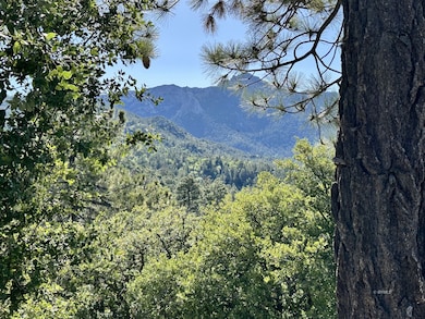 0 Mountain View unit 2011252, Idyllwild, CA - photo 4