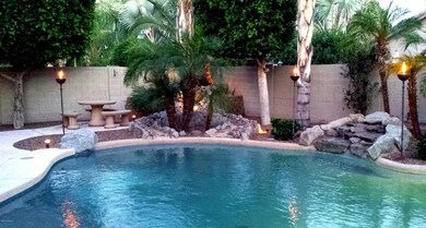 Backyard 1