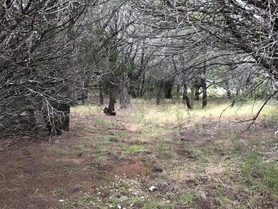 40091 Cedarcrest Dr, Whitney, TX 76692 - photo 3