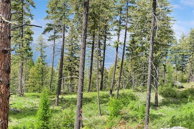 124 Trading Post Trail, Bigfork, MT 59911 - photo 6