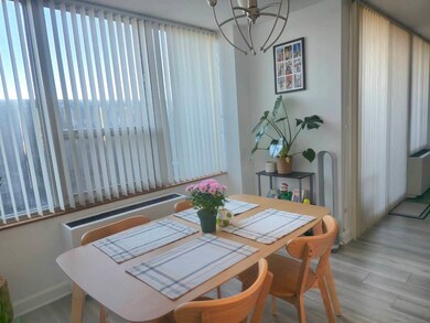 Towers of Triumvera unit 2D, Glenview, IL 60025 - photo 6