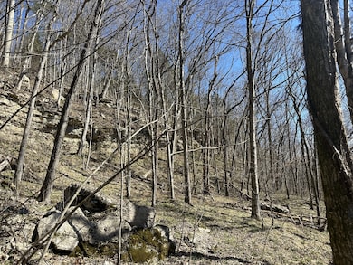 0 Ben Gentry Ln unit RTC2791429, Elmwood, TN 38560 - photo 6