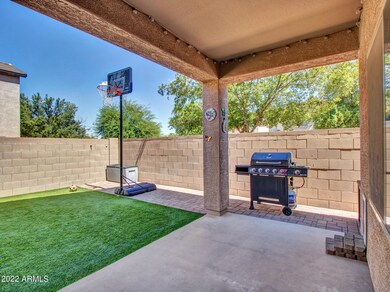 03-Backyard (1)