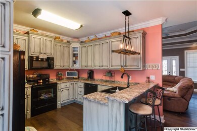 270 Payton Ln, Grant, AL 35747 - photo 7