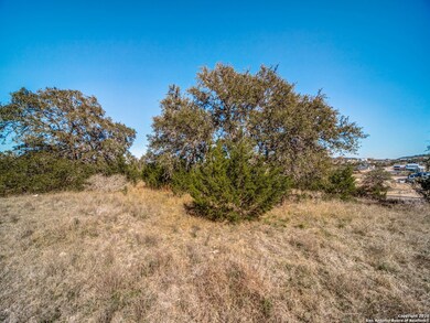 10411 Doherty Springs, San Antonio, TX 78255 - photo 3