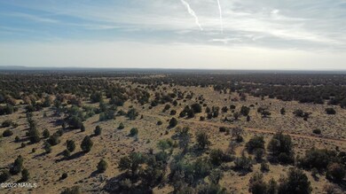 4633 N Hidden Ranch Rd Photo 8