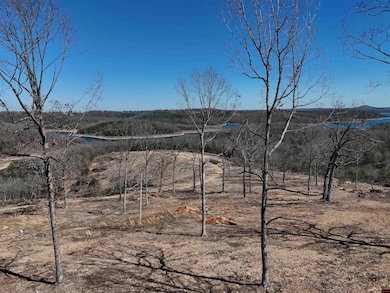 001-03317-000 Black Jack Trail, Mountain Home, AR 72653 - photo 4