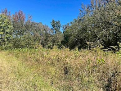 0 Walls Rd, Somerville, TN 38068 - photo 3